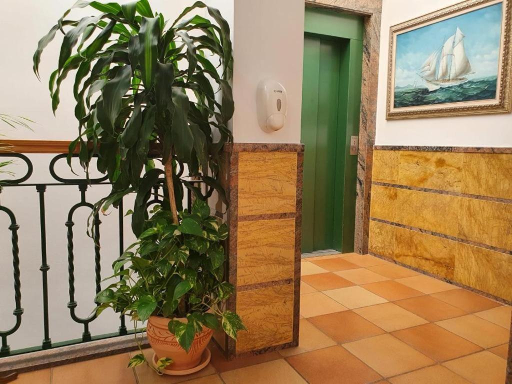 Apartamentos Leonor Carihuela トレモリノス エクステリア 写真